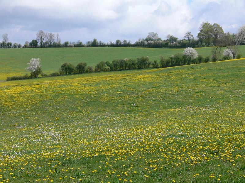 Mont Saint Michel 2010 - 111.jpg